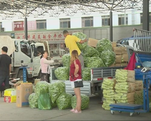 本地瓜果蔬菜主導(dǎo)食用農(nóng)產(chǎn)品批發(fā)市場