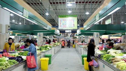 路橋食光 共享美味，打造農產品批發新生態