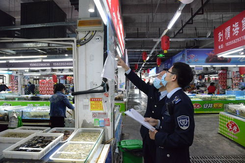 “守夜人”護(hù)民生 武清區(qū)市場監(jiān)管局開展五一節(jié)前農(nóng)貿(mào)市場集中夜查行動(dòng)